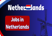 مشاغل مورد نیاز کشور هلند